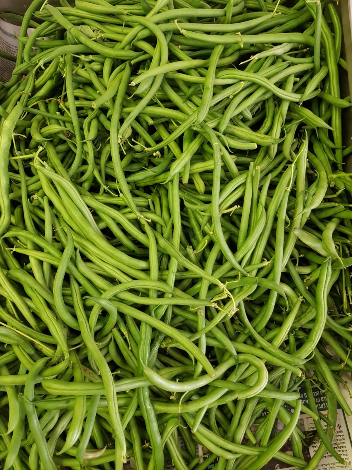 WhatsApp Image 2020-04-19 at 7.02.41 PM (2).jpeg.jpeg